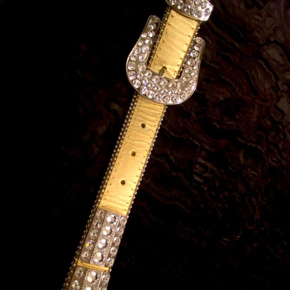 π CHRISTINE ALEXANDER ~ SWAROVSKI CRYSTAL STUDDED LEATHER BELT - Picture 7 of 8